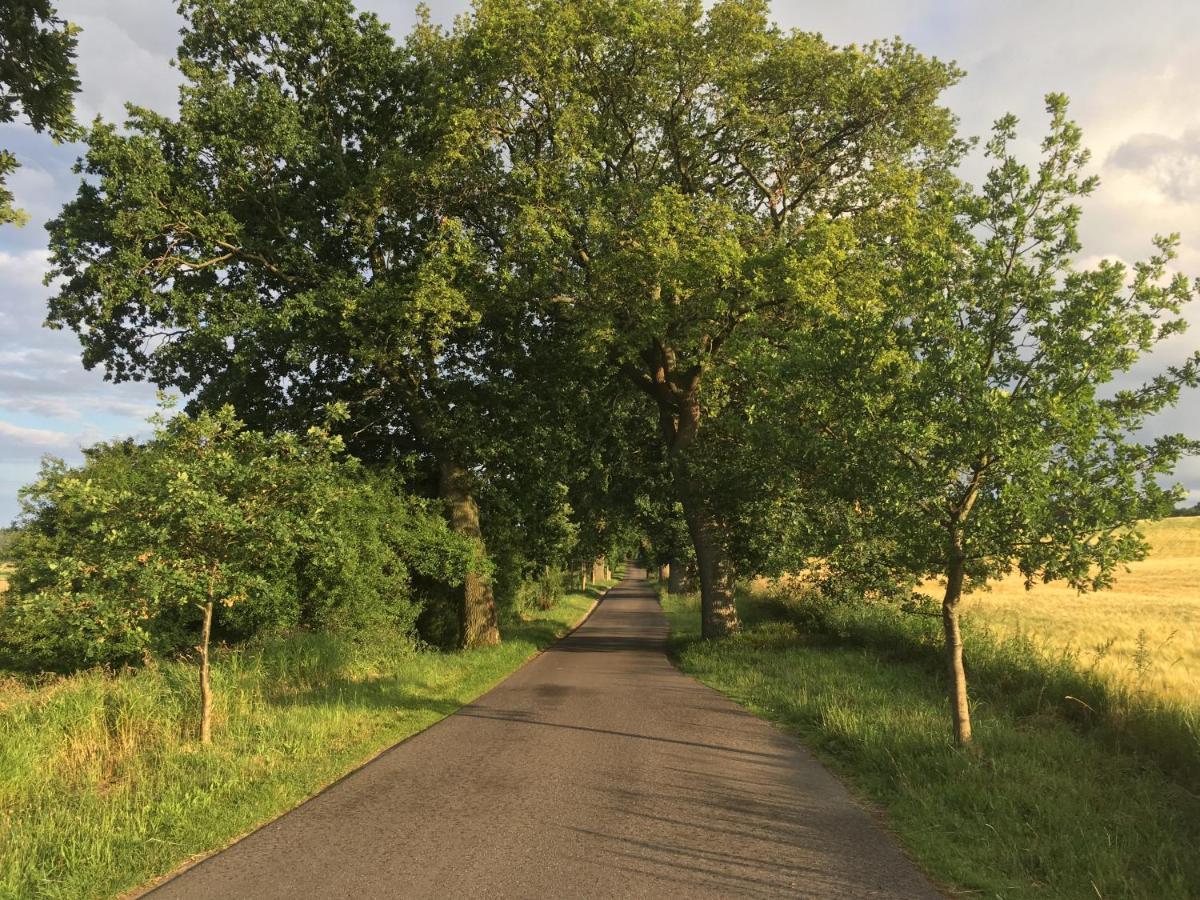 Dat Witte Hus Moritzdorf Ruegen Ferienwohnungen - Ruhige Lage Extérieur photo