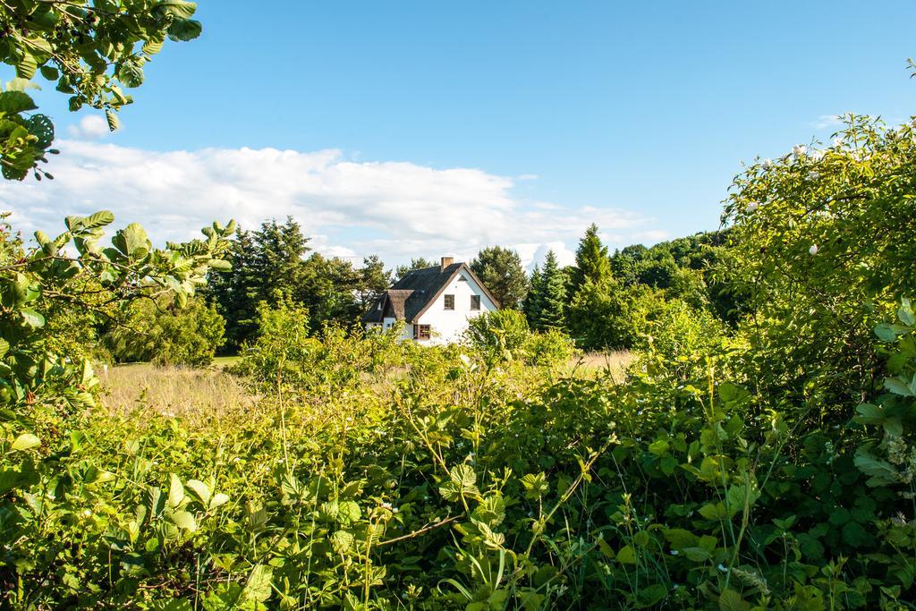 Dat Witte Hus Moritzdorf Ruegen Ferienwohnungen - Ruhige Lage Extérieur photo